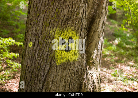 Graffito / Graffiti: schwarzgelb Strahlung Symbol (Kleeblatt) kastriert auf auf dem Stamm eines Baumes in München, Deutschland Stockfoto