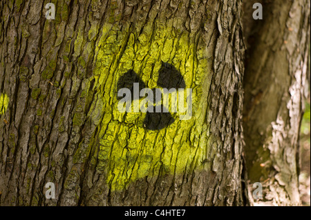 Graffito / Graffiti: schwarzgelb Strahlung Symbol (Kleeblatt) kastriert auf auf dem Stamm eines Baumes in München, Deutschland Stockfoto