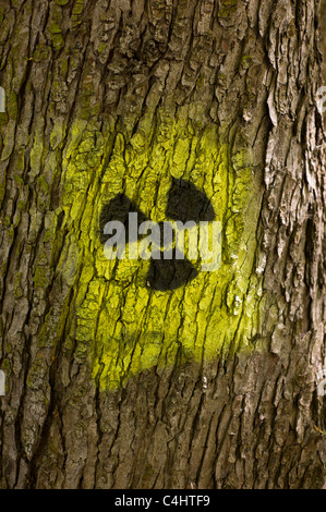 Graffito / Graffiti: schwarzgelb Strahlung Symbol (Kleeblatt) kastriert auf auf dem Stamm eines Baumes in München, Deutschland Stockfoto