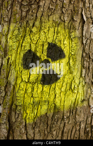 Graffito / Graffiti: schwarzgelb Strahlung Symbol (Kleeblatt) kastriert auf auf dem Stamm eines Baumes in München, Deutschland Stockfoto