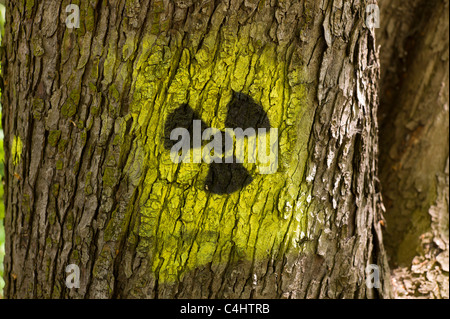 Graffito / Graffiti: schwarzgelb Strahlung Symbol (Kleeblatt) kastriert auf auf dem Stamm eines Baumes in München, Deutschland Stockfoto