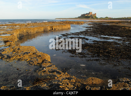 Felsenbad bei Ebbe mit Bamburgh Castle an der Küste bei Bamburgh in Northumberland, England Stockfoto