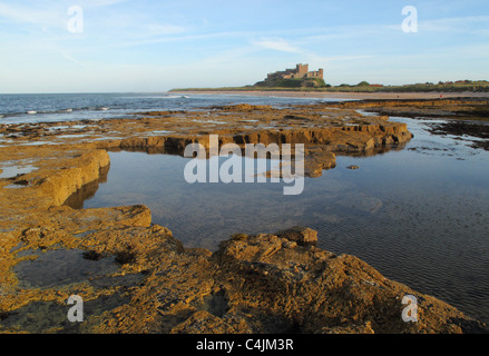 Felsenbad bei Ebbe mit Bamburgh Castle an der Küste bei Bamburgh in Northumberland, England Stockfoto