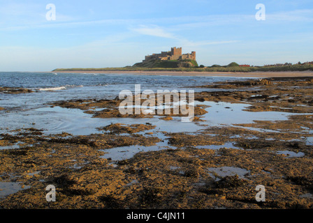 Felsenbad bei Ebbe mit Bamburgh Castle an der Küste bei Bamburgh in Northumberland, England Stockfoto