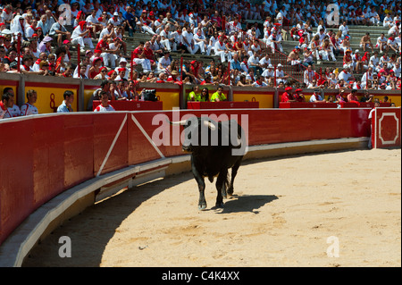 "Festival de recortadoresentgegen (Trimmer Festival), San Fermín Street-Party, Pamplona, Navarra (Navarra), Spanien, Europa. Stockfoto