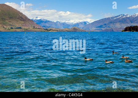 Lake Wanaka in Neuseeland Stockfoto
