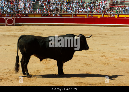 "Festival de recortadoresentgegen (Trimmer Festival), San Fermín Street-Party, Pamplona, Navarra (Navarra), Spanien, Europa. Stockfoto