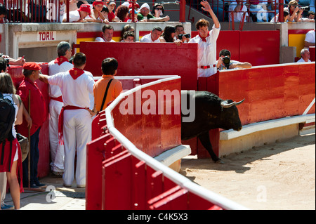 "Festival de recortadoresentgegen (Trimmer Festival), San Fermín Street-Party, Pamplona, Navarra (Navarra), Spanien, Europa. Stockfoto