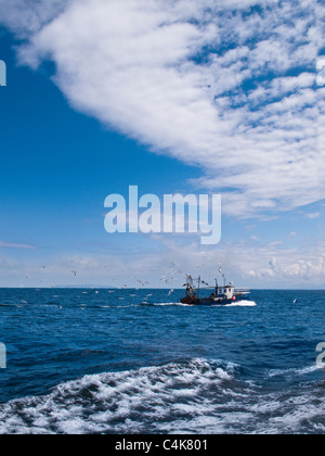 Ein Fischerboot, gefolgt von Möwen aus der Küste von North Devon, UK Stockfoto