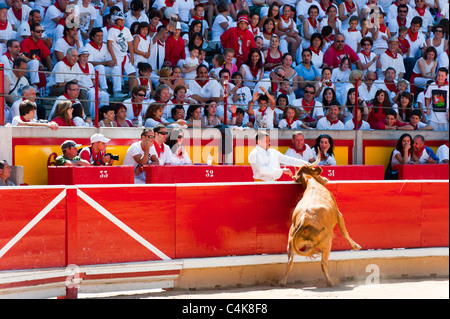 "Festival de recortadoresentgegen (Trimmer Festival), San Fermín Street-Party, Pamplona, Navarra (Navarra), Spanien, Europa. Stockfoto