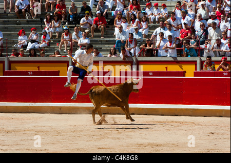 "Festival de recortadoresentgegen (Trimmer Festival), San Fermín Street-Party, Pamplona, Navarra (Navarra), Spanien, Europa. Stockfoto