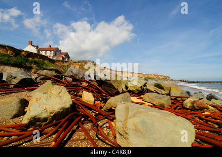 Bleibt des Küstenschutzes und erodierten Felsen bei Happisburgh, Norfolk, England, UK Stockfoto