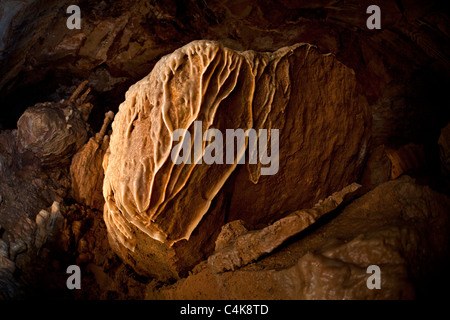 Calcit-Vorhänge in der Dargilan Höhle bei Meyrueis (Frankreich).  Vorhänge de Calcit Dans la Grotte de Dargilan (Frankreich). Stockfoto