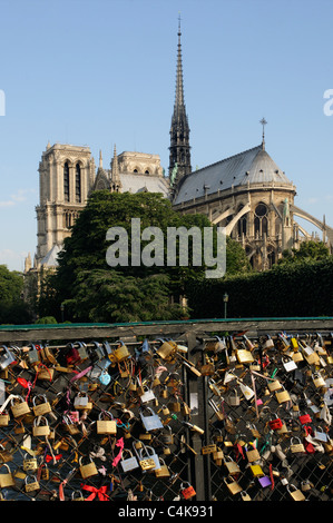 Liebesschlösser am Pont de L'Archeveque in Paris, Frankreich mit Notre Dame Stockfoto