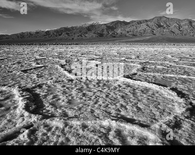 Salz Polygone. In der Nähe von Badwater. Death Valley Nationalpark, Kalifornien. Stockfoto