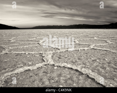 Salz Polygone. In der Nähe von Badwater. Death Valley Nationalpark, Kalifornien. Stockfoto