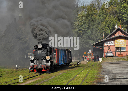 Dampf Lok auf Smigiel schmale Guage Railway Station in Polen herausziehen Stockfoto