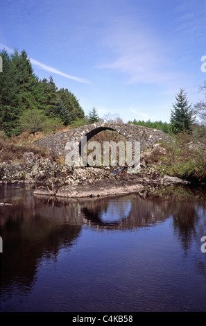 Römische Brig oder Brücke über das Wasser des Minnoch, Galloway Forest Park, Dumfries & Galloway, Schottland Stockfoto