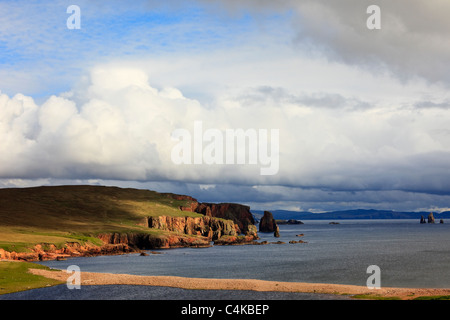 Küstenlandschaft mit Blick über die Bucht zu den Braewick Neap Klippen und Drongs aus rotem Sandstein sea Stacks. Eshaness, Shetlandinseln, Schottland, Großbritannien. Stockfoto