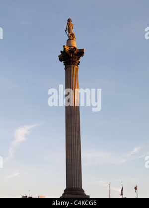 Der Nelson Säule, Trafalgar Square, London, England Stockfoto