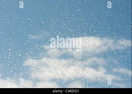 Regentropfen auf einem Fenster vor einem bewölkten blauen Himmel Stockfoto