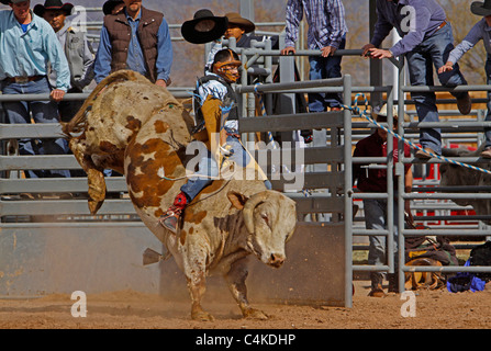 ein junger Mann reitet ein bucking Bull bei einem Arizona-rodeo Stockfoto