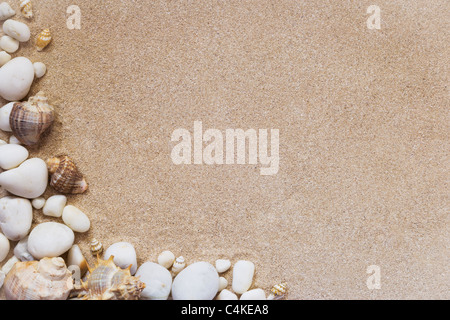 Muscheln und Steinen mit Sand als Hintergrund Stockfoto
