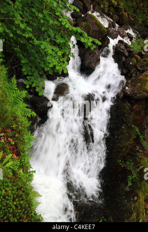 Coed y Brenin Waldpark: neun Meilen nördlich von Wales, Coed-y-Brenin felsigen Klippen und klare Bäche, die über Wasserfälle stürzt Stockfoto