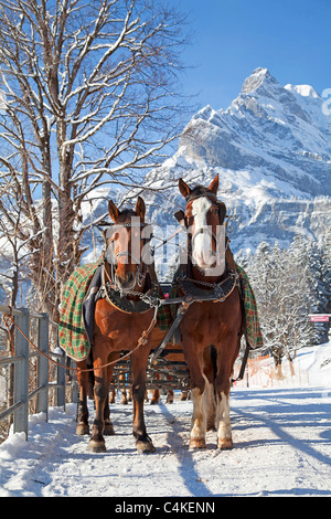 Winter in den Schweizer Alpen (Gespann in einem kleinen Dorf) Stockfoto