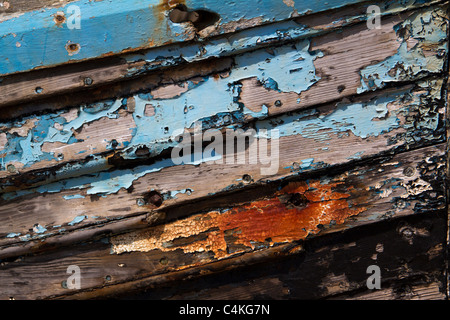 Abblätternde Farbe auf faulenden Altholz Stockfoto