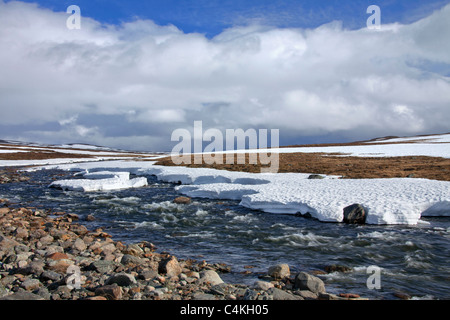 Fluss im Frühjahr auf Borgafjäll / Borgafjaell in Jämtland, Nordschweden Stockfoto