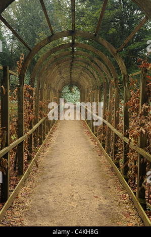 Weg auf dem Gelände des Rokoko Gärten, Painswick, Gloucestershire, Großbritannien. Stockfoto