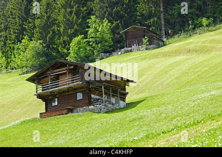 Traditionelle österreichische Holzlagerung Hütte oder Gebäude an der Seite eines steilen Talseite Stockfoto