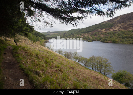 Glen Trool; Dumfries und Galloway; Schottland Stockfoto