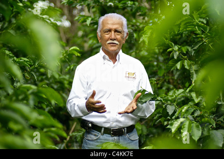 Porträt von Don Francisco Serracin, Gründer von Don Pachi Estate, holding Geisha Kaffee in Bohnen. Stockfoto