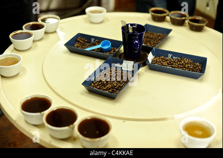 Kaffee-Verkostung im Finca Lerida Plantage und Hotel (Panama) Stockfoto