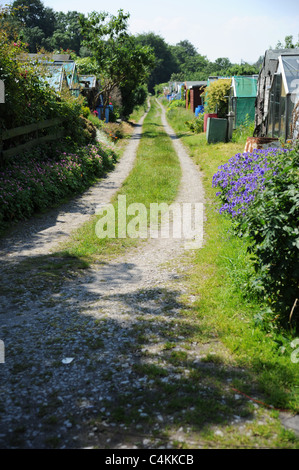 Den Garten hinab Weg. Einteilung der Pfad zwischen Schrebergärten. Stockfoto