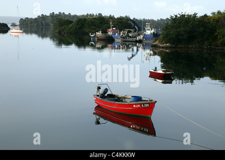 Boote im Hafen von Glengarriff Stockfoto