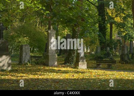 Friedhof Bild mit Kreuzen in einem Waldgebiet Stockfoto