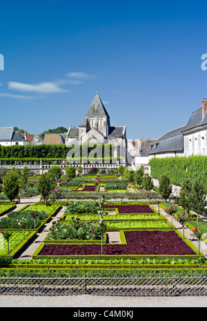 Formale Potager Garten Villandry, das Loire-Tal, Frankreich Stockfoto