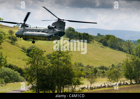 Eine RAF Chinook heben ab nachdem Sie Soldaten auf der Sennybridge Training Area in Wales Stockfoto