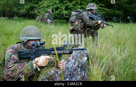 TA-Soldaten, die Ausbildung auf dem Truppenübungsplatz Sennybridge in Wales Stockfoto