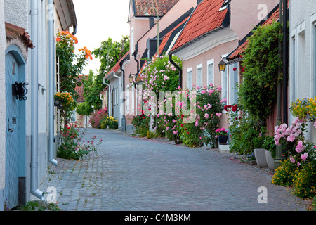 Traditionelle Häuser geschmückt mit Blumen in der gepflasterten Straße der Hansestadt Visby, Gotland, Schweden Stockfoto