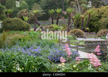 Logan Botanischer Garten; Dumfries und Galloway; Schottland Stockfoto