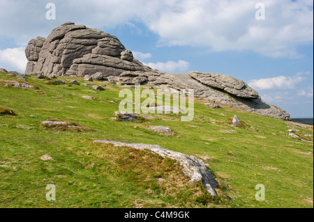 Naheinstellung Weitwinkel von Haytor Rocks im Dartmoor National Park mit strahlendem Sonnenschein. Stockfoto