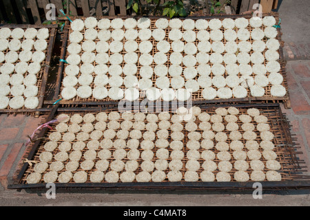 Reiskuchen Trocknung unter der Sonne auf der Straße von Luang Prabang, Laos Stockfoto