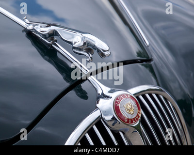 Oldtimer Jaguar 3,8-Liter-Abzeichen mit springenden Katze Stockfoto