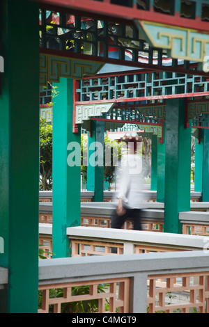 Gärten der Sik Sik Yuen Tempel, Wong Tai Sin, Kowloon, Hong Kong, China Stockfoto