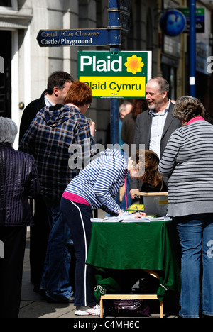 Stall, zur Förderung der politischen Partei Plaid Cymru, Aberystwyth, Wales Stockfoto