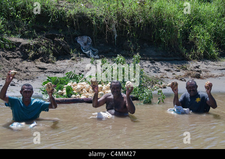 Eine Attraktion entlang der Sigatoka River Safari Bootstour sind Einheimische, die die Aufgabe des Waschens Süßkartoffeln für den Markt. Stockfoto